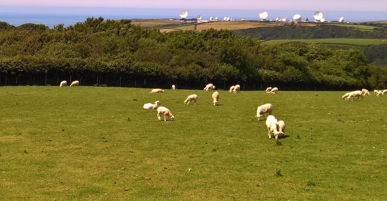 Barn Park Lodge Bude Exterior foto